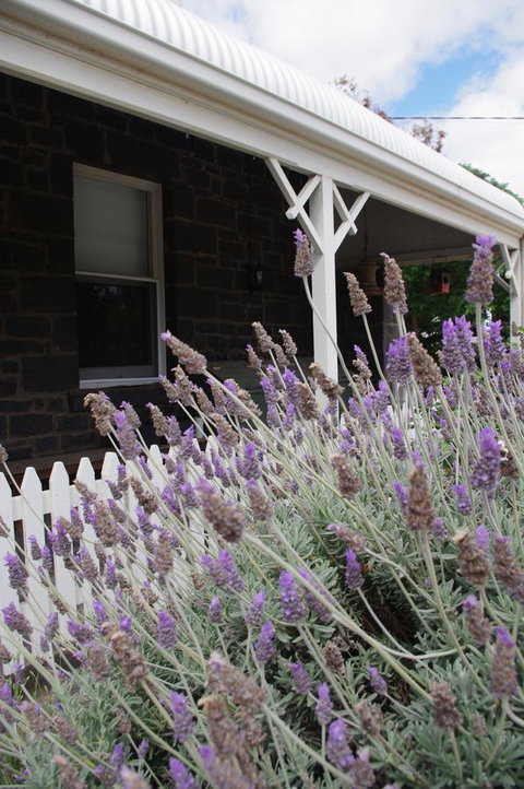 Little River Bed And Breakfast - Accommodation Search 30