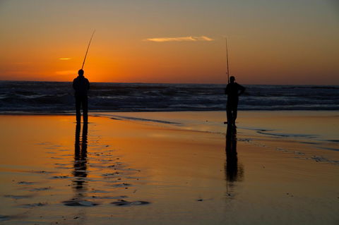 Arcadia Phillip Island - Accommodation Search 23