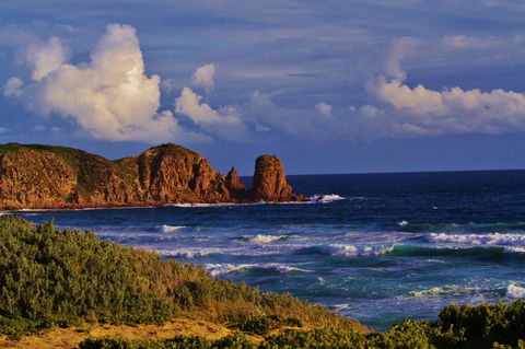 Arcadia Phillip Island - Accommodation Search 27