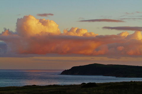 Arcadia Phillip Island - Accommodation Search 19