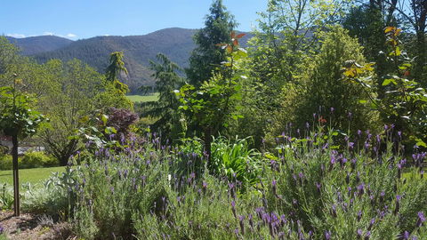 Abbys Cottages Bright - Accommodation Search 33