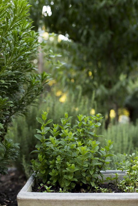 Botanica Editions - Accommodation Search 5