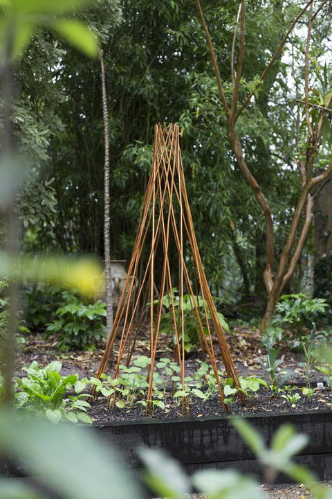 Botanica Editions - Accommodation Search 23