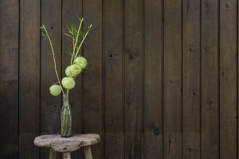 Botanica Editions - Accommodation Search 10