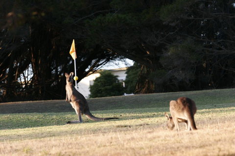 Lakeside At Mallacoota - Accommodation Search 37