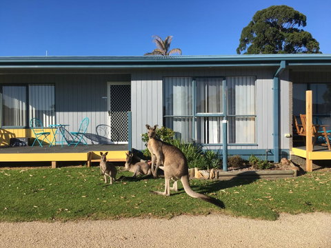 Lakeside At Mallacoota - Accommodation Search 15