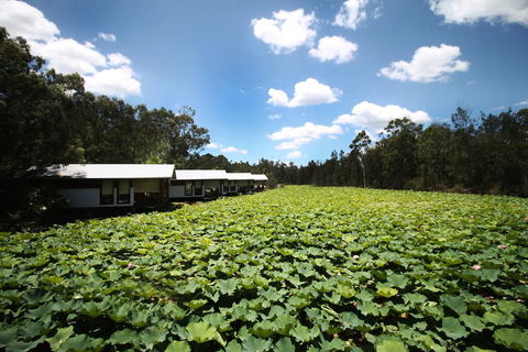 The Boathouses At Leaves & Fishes - Accommodation Search 0