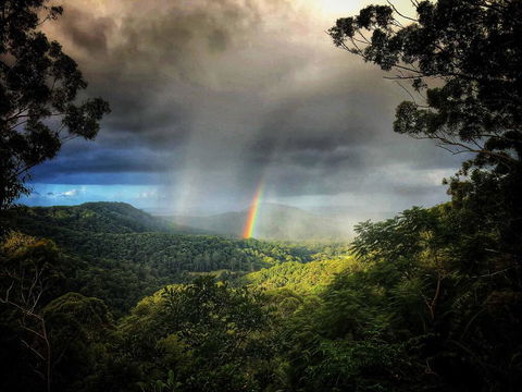 The Den Of The Treehouse, KINABALU Farm - Accommodation Search 0