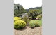 The Greenhouse - thumb 3