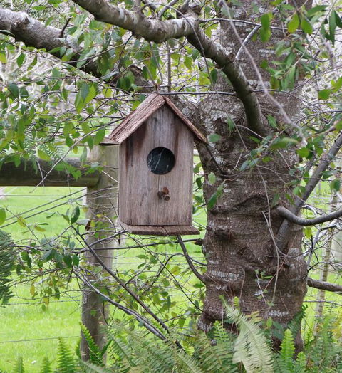 The Little House On The Hill - Accommodation Search 3