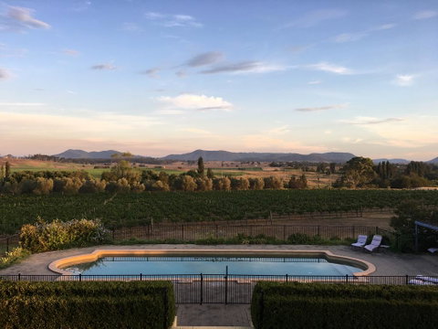 Tranquil Vale Vineyard - Accommodation Search 0