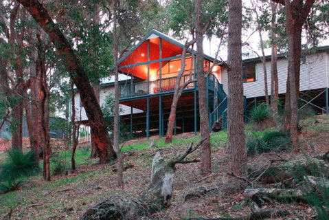 Treehouse - 3 Acre Elevated Nature Setting - Accommodation Search 3