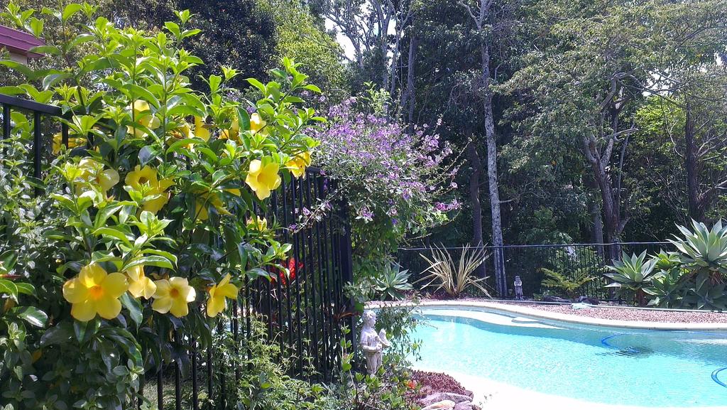 Duranbah NSW Accommodation Search
