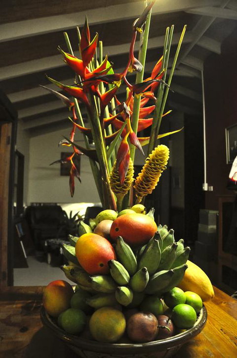 Tropical Bliss Bed And Breakfast - Accommodation Search 3