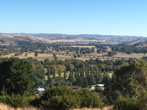 Tuckerbox Motor Inn - Accommodation Search 3