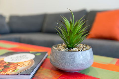 Urban Jungle! Executive Apartment In Heart Of CBD - Accommodation Search 1