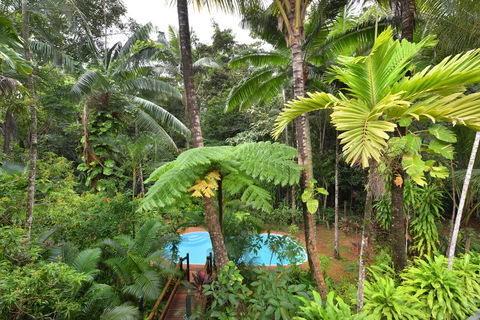 Wait A While Daintree - Accommodation Search 3