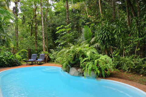 Wait A While Daintree - Accommodation Search 1