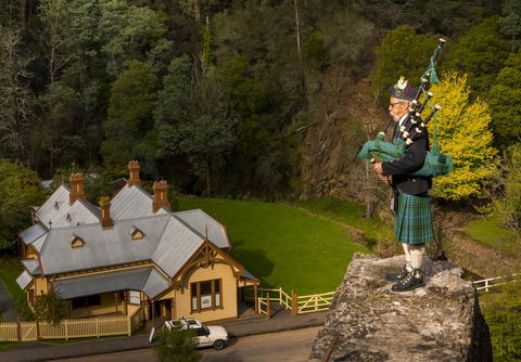 Walhalla Wild Cherry - Accommodation Search 2