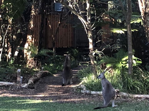 Wanderers Retreat - Accommodation Search 2