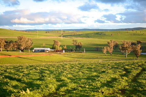 Wantana Cottage Farmstay - Accommodation Search 0