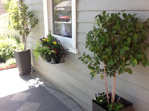 Redruth Cottage - Accommodation Search 19