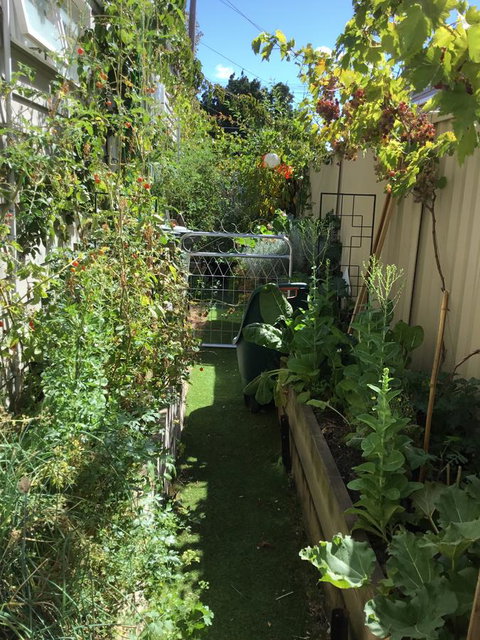 Redruth Cottage - Accommodation Search 7