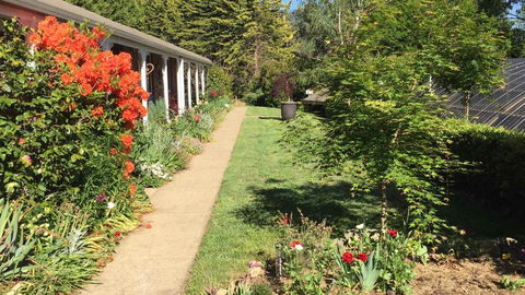 Alpine Aspects - Accommodation Search 4