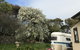 Hillâ€™s Creek Holiday Home - thumb 6