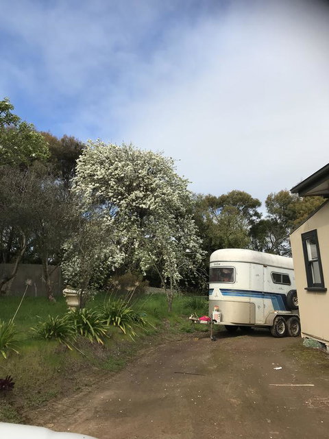 Hillâ€™s Creek Holiday Home - Accommodation Search 6
