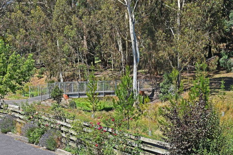 Main Lead Ballarat Motel - Accommodation Search 5