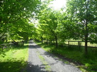 Book Wonga Park Accommodation Vacations Accommodation Search Accommodation Search