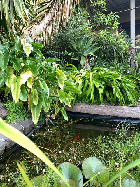 Sunryes Beach House - Accommodation Search 30