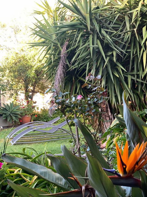 Sunryes Beach House - Accommodation Search 32