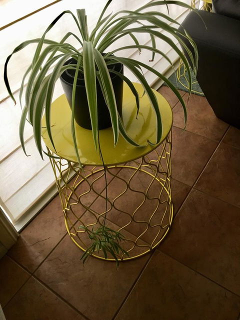 Nest On A Crest - Accommodation Search 5