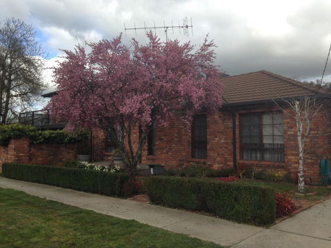 Bricks And Roses - Accommodation Search 1