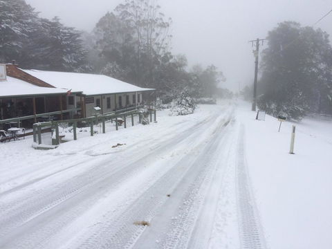 Tarra Bulga Guesthouse - Accommodation Search 8