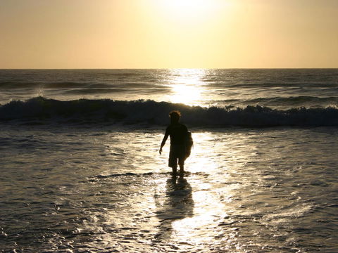 La Mer Sunshine Beachfront - Accommodation Search 15