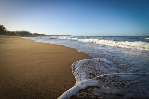 Sandcastles 1770 Motel & Resort - Accommodation Search 30