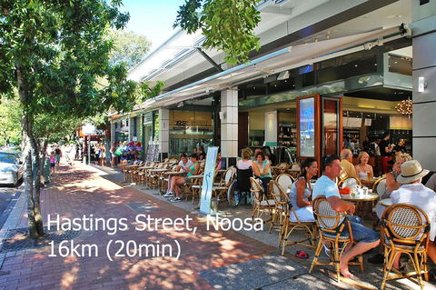 Noosa Hinterland Retreat - Accommodation Search 19