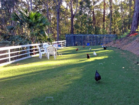 Noosa Hinterland Retreat - Accommodation Search 11