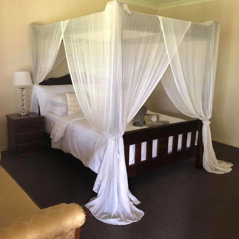 The Bearded Dragon Boutique Hotel - Accommodation Search 1