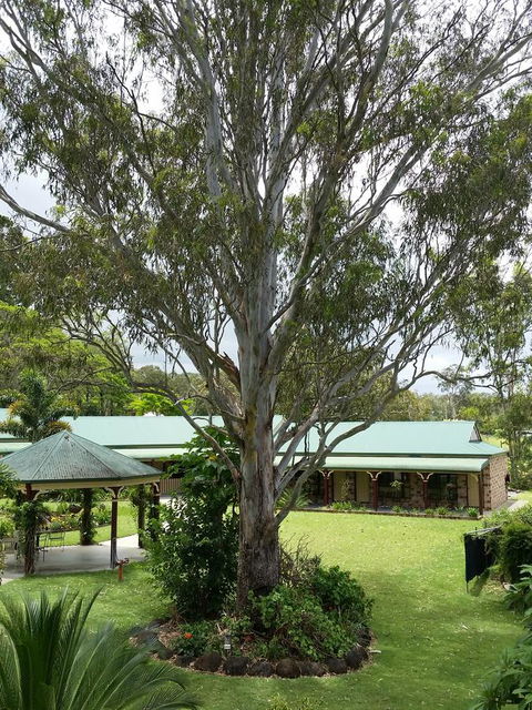 The Bearded Dragon Boutique Hotel - Accommodation Search 32