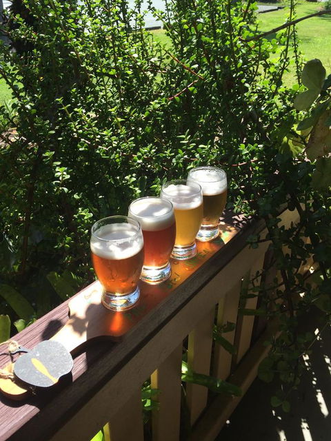The Bearded Dragon Boutique Hotel - Accommodation Search 31