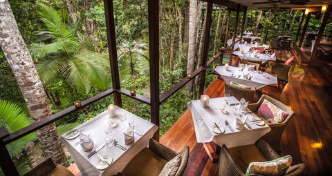 Silky Oaks Lodge - Accommodation Search 6