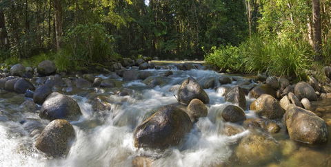 Silky Oaks Lodge - Accommodation Search 20