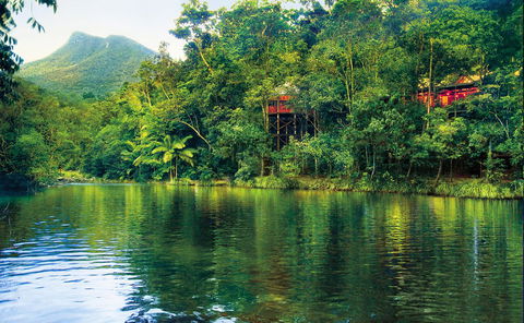 Silky Oaks Lodge - Accommodation Search 8