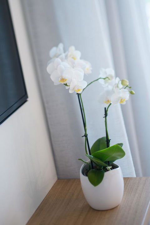 Heart Hotel And Gallery Whitsundays - Accommodation Search 28