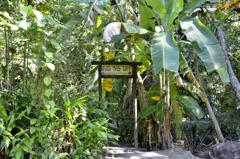 PK\'s Jungle Village - Accommodation Search 23