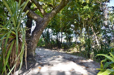 PK\'s Jungle Village - Accommodation Search 28